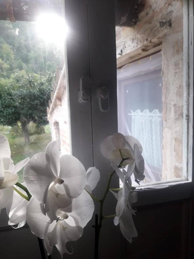 Il Giardino Dei Sogni Bed & Breakfast Montefortino Exterior foto